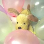 ぷちもえ
